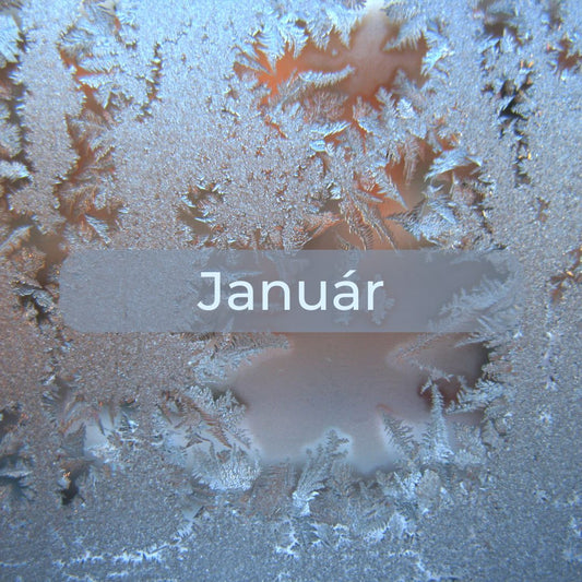 MintaMókus januári hírlevél borító